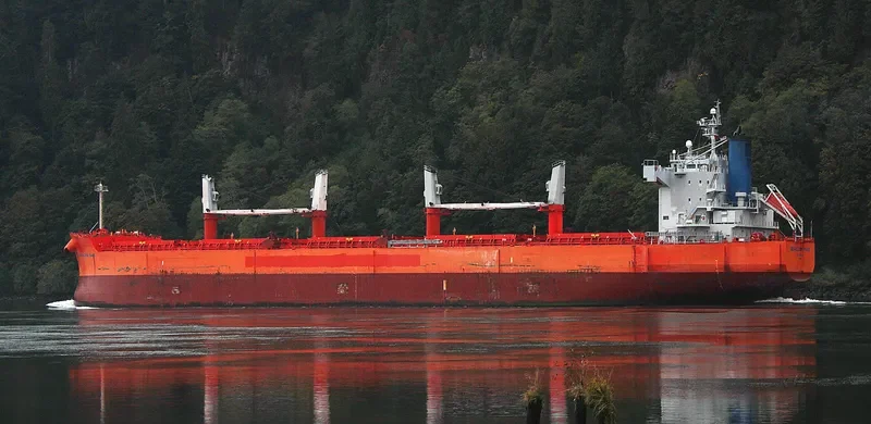 GHARAPURI ISLAND Bulk Carrier IMO 9496147 photo 2