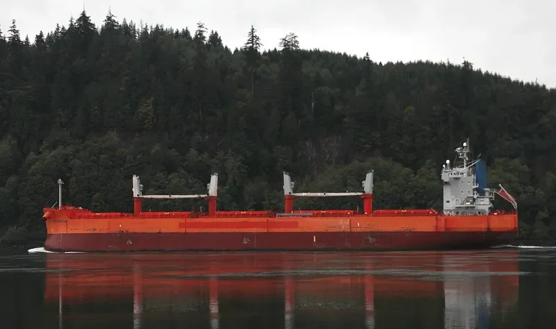 GHARAPURI ISLAND Bulk Carrier IMO 9496147 photo 3