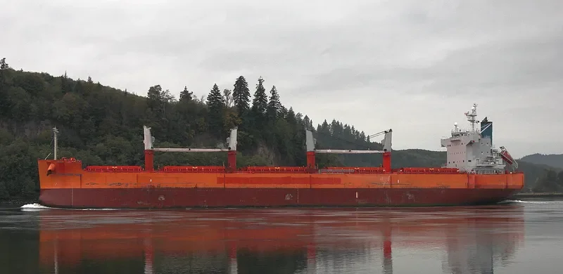 GHARAPURI ISLAND Bulk Carrier IMO 9496147 photo 4