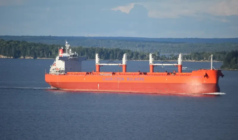 GHARAPURI ISLAND Bulk Carrier IMO 9496147 photo 7