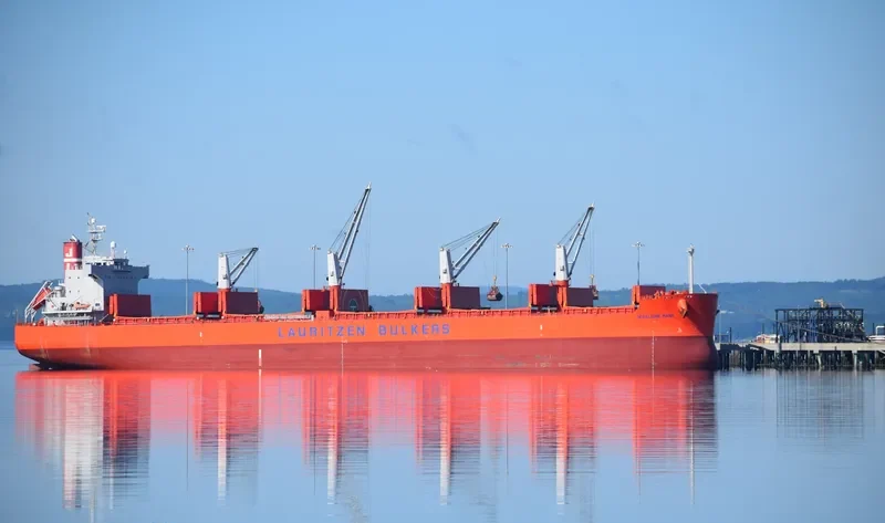 GHARAPURI ISLAND Bulk Carrier IMO 9496147 photo 8
