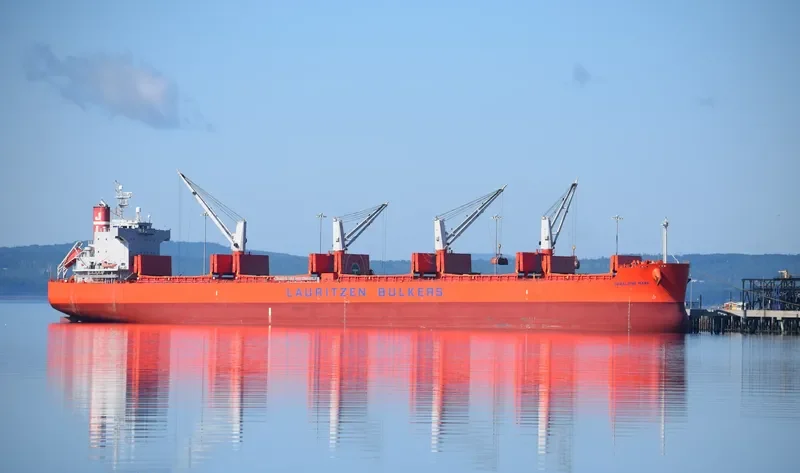 GHARAPURI ISLAND Bulk Carrier IMO 9496147 photo 9