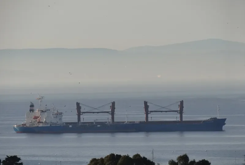 CORKSCREW Bulk Carrier IMO 9496161 photo 6