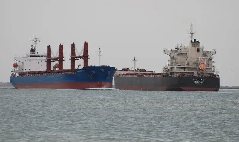 CORKSCREW Bulk Carrier IMO 9496161 photo 7