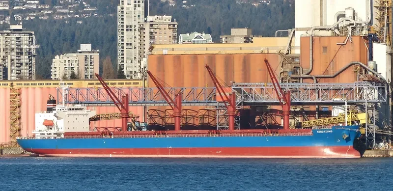 CORKSCREW Bulk Carrier IMO 9496161 photo 10