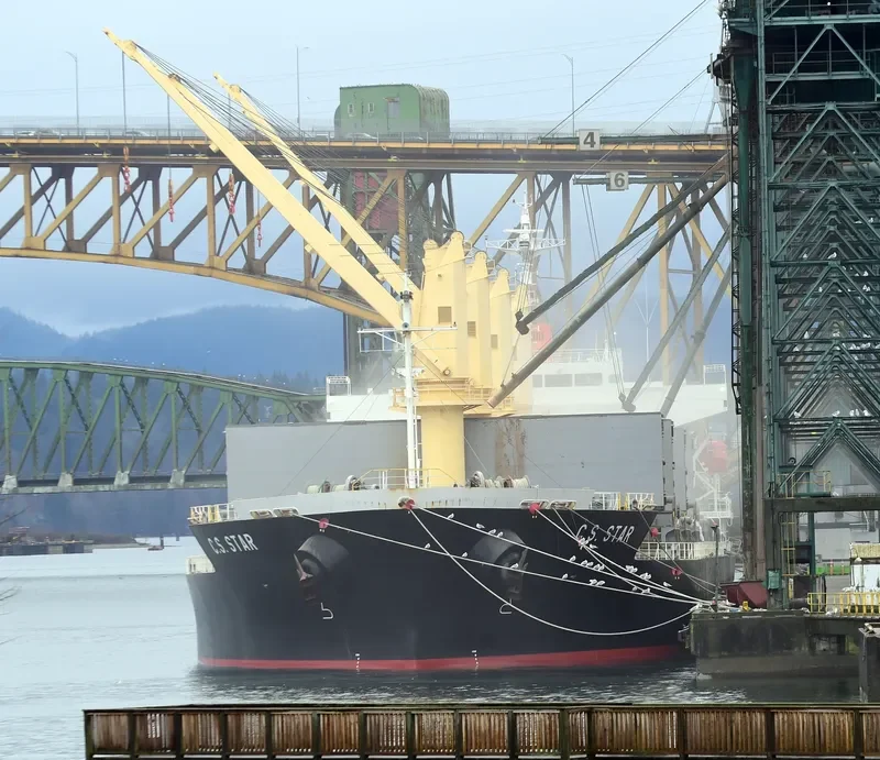 GEM STAR General Cargo IMO 9496173 photo 2