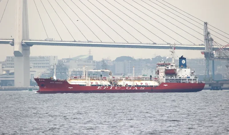 GREEN GAS General Cargo IMO 9496197 photo 9