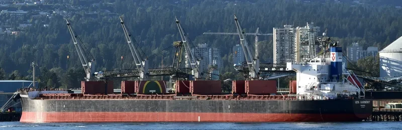 VITA HARMONY Bulk Carrier IMO 9496202