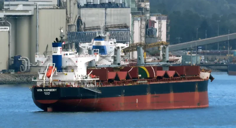 VITA HARMONY Bulk Carrier IMO 9496202 photo 3