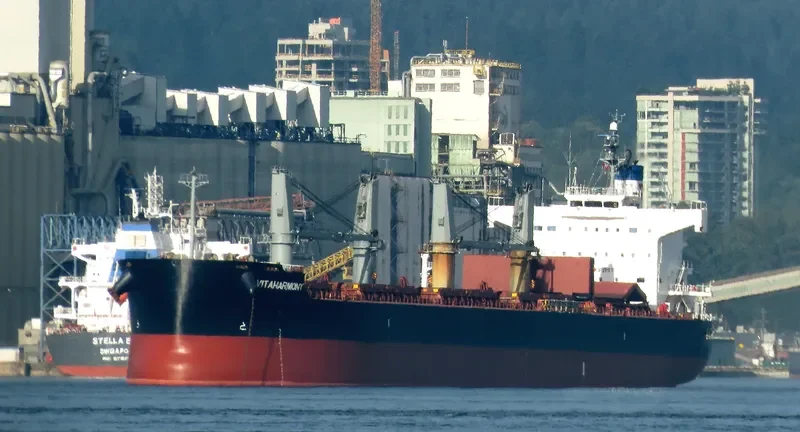 VITA HARMONY Bulk Carrier IMO 9496202 photo 4