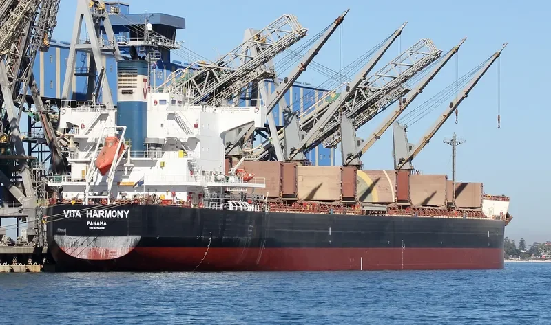 VITA HARMONY Bulk Carrier IMO 9496202 photo 9