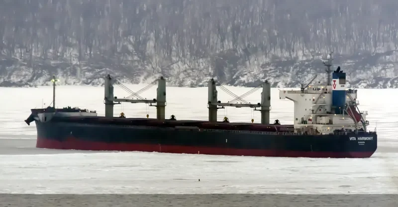 VITA HARMONY Bulk Carrier IMO 9496202 photo 10
