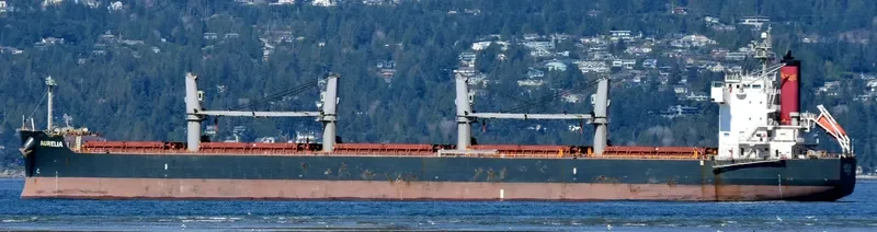 GRANDE ISLAND Bulk Carrier IMO 9496214