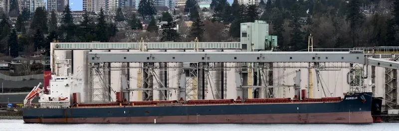 GRANDE ISLAND Bulk Carrier IMO 9496214 photo 2