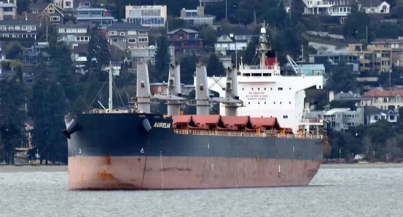 GRANDE ISLAND Bulk Carrier IMO 9496214 photo 3