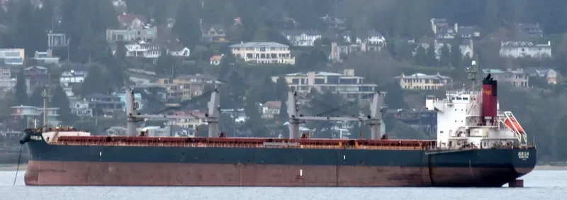 GRANDE ISLAND Bulk Carrier IMO 9496214 photo 4