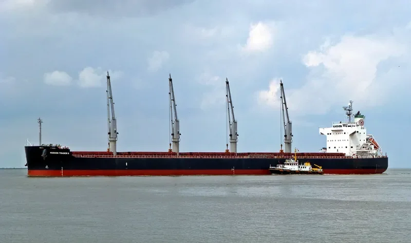 GRANDE ISLAND Bulk Carrier IMO 9496214 photo 6