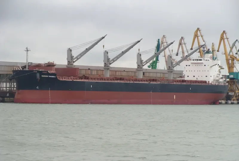 GRANDE ISLAND Bulk Carrier IMO 9496214 photo 7
