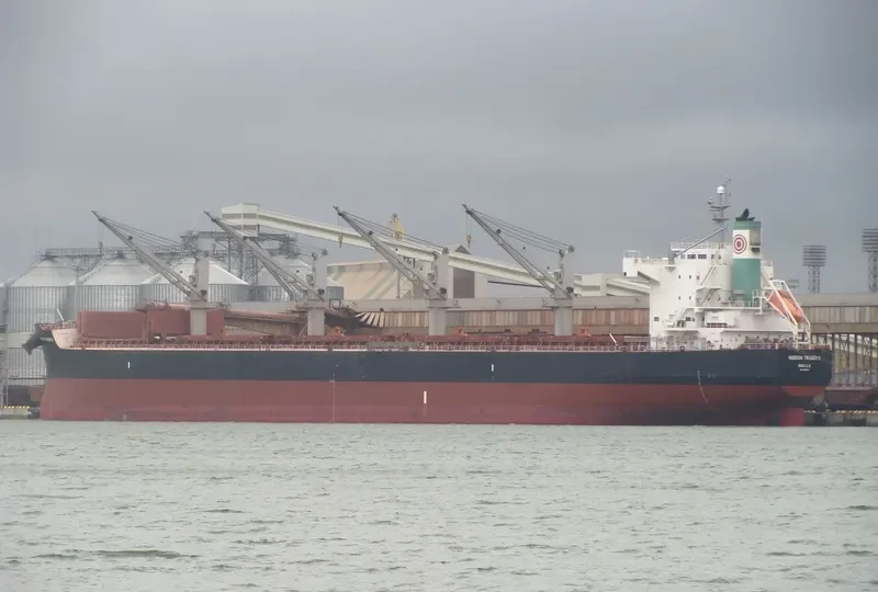 GRANDE ISLAND Bulk Carrier IMO 9496214 photo 9