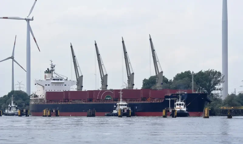 GRANDE ISLAND Bulk Carrier IMO 9496214 photo 10