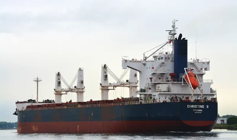 NAVIOS CHRISTINE B Bulk Carrier IMO 9496238 photo 2