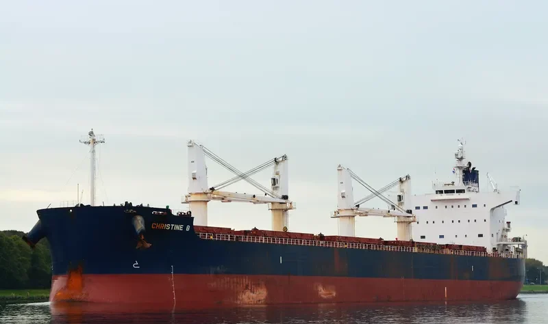 NAVIOS CHRISTINE B Bulk Carrier IMO 9496238 photo 3