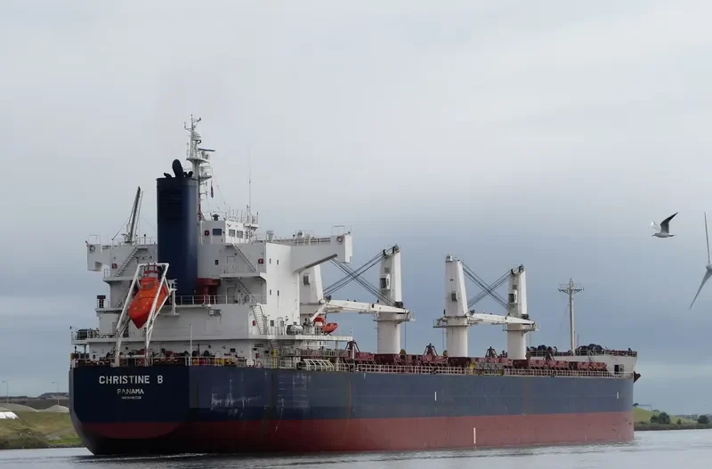 NAVIOS CHRISTINE B Bulk Carrier IMO 9496238 photo 4