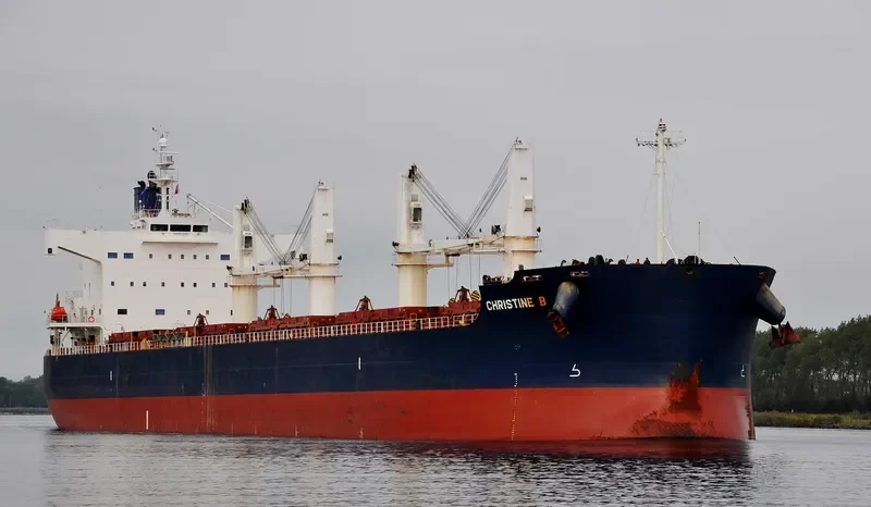 NAVIOS CHRISTINE B Bulk Carrier IMO 9496238 photo 7