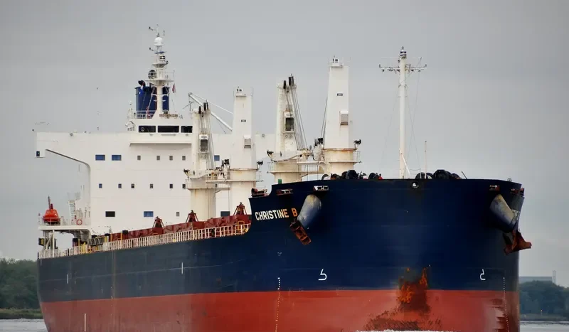 NAVIOS CHRISTINE B Bulk Carrier IMO 9496238 photo 8