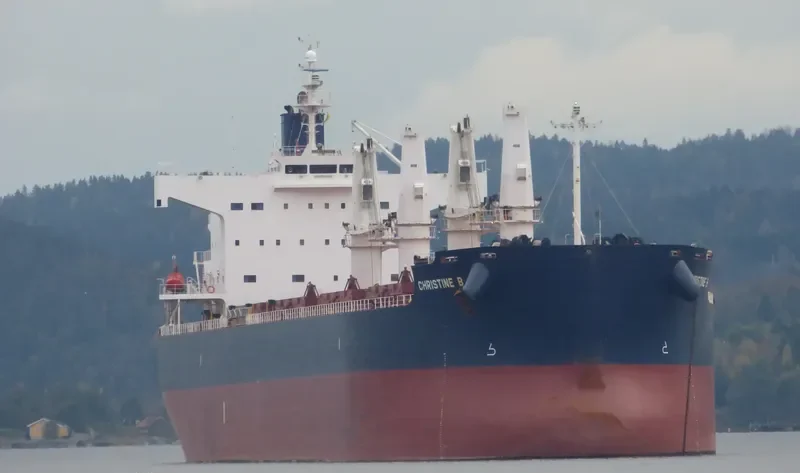 NAVIOS CHRISTINE B Bulk Carrier IMO 9496238 photo 10