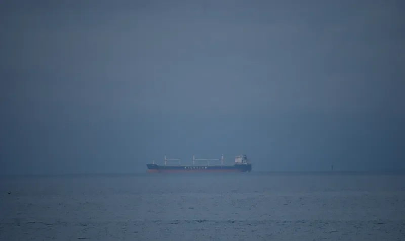 MAMRY Bulk Carrier IMO 9496264 photo 2