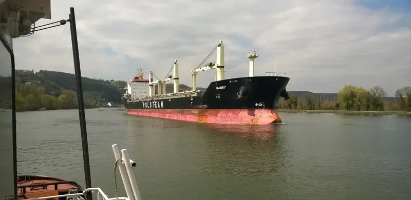 MAMRY Bulk Carrier IMO 9496264 photo 3