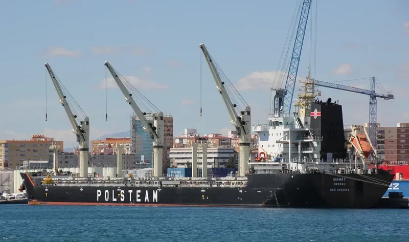 MAMRY Bulk Carrier IMO 9496264 photo 5