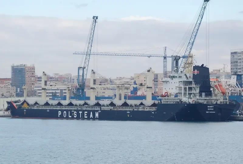MAMRY Bulk Carrier IMO 9496264 photo 6