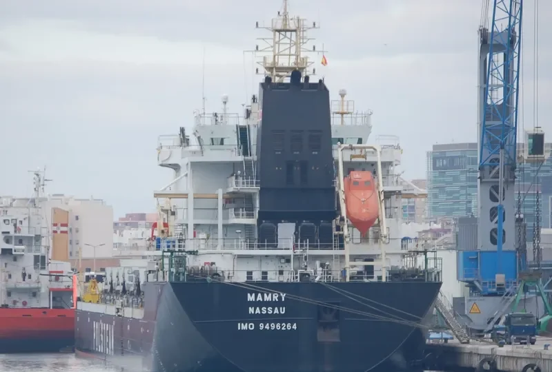 MAMRY Bulk Carrier IMO 9496264 photo 7