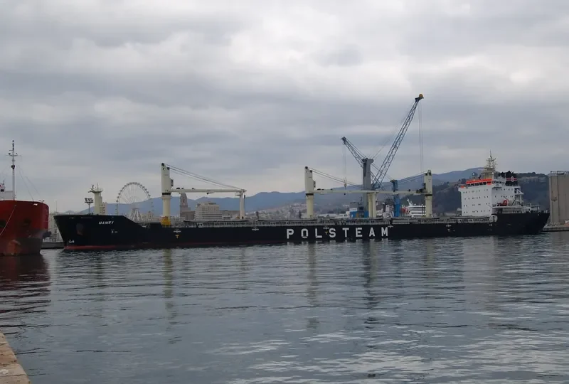 MAMRY Bulk Carrier IMO 9496264 photo 8