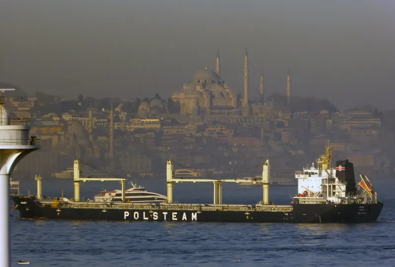 MAMRY Bulk Carrier IMO 9496264 photo 9