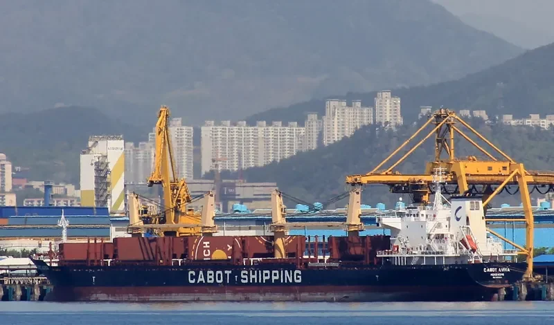 SLAVYANKA Bulk Carrier IMO 9496276 photo 3