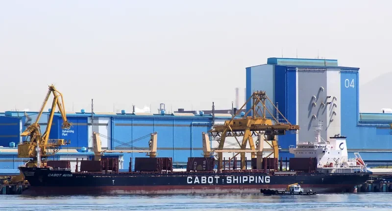 SLAVYANKA Bulk Carrier IMO 9496276 photo 4