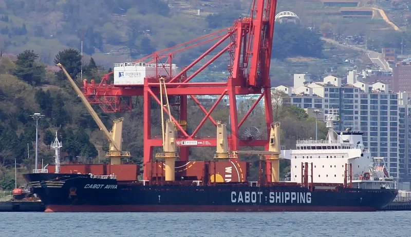 SLAVYANKA Bulk Carrier IMO 9496276 photo 5