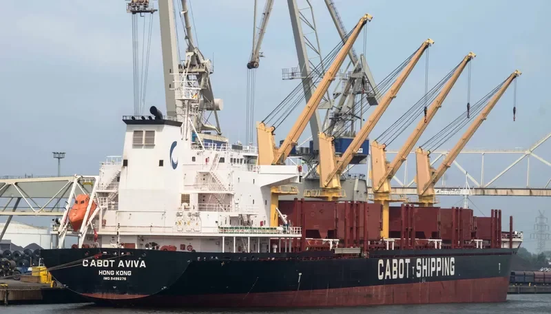 SLAVYANKA Bulk Carrier IMO 9496276 photo 7