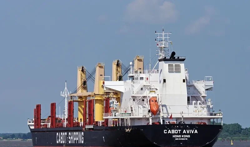 SLAVYANKA Bulk Carrier IMO 9496276 photo 9