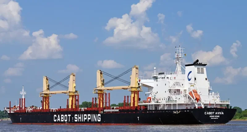 SLAVYANKA Bulk Carrier IMO 9496276 photo 10
