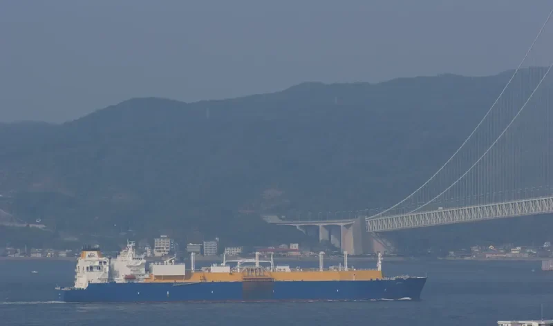 AMALI General Cargo IMO 9496317 photo 5