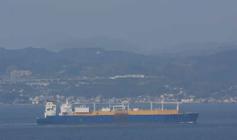 AMALI General Cargo IMO 9496317 photo 6