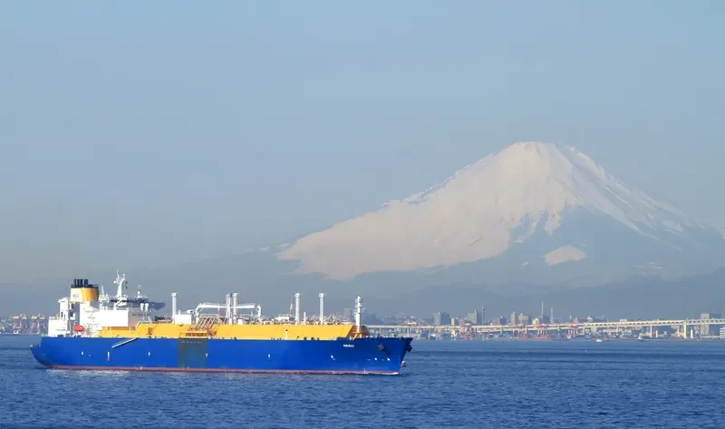 AMALI General Cargo IMO 9496317 photo 7