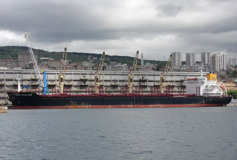 ADVENTURE Bulk Carrier IMO 9496329 photo 10