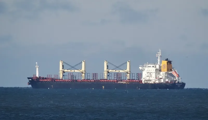 ALLIANCE Bulk Carrier IMO 9496331
