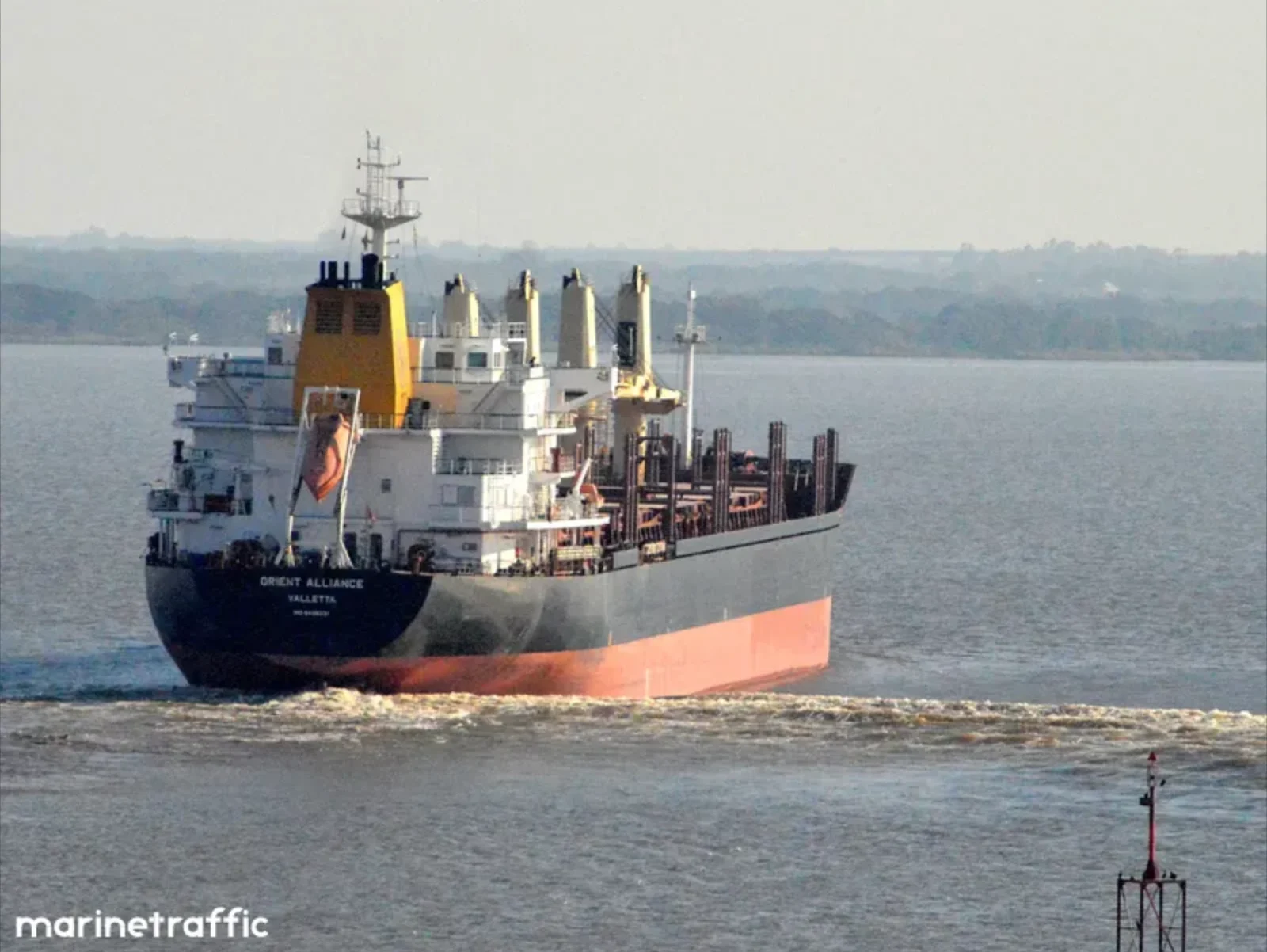 ALLIANCE Bulk Carrier IMO 9496331 photo 2