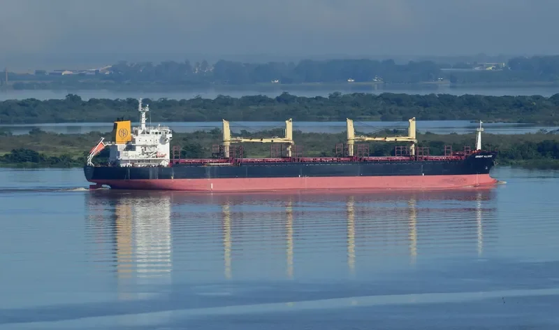 ALLIANCE Bulk Carrier IMO 9496331 photo 3